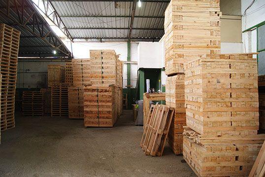 distribuidor de pallets de madeira